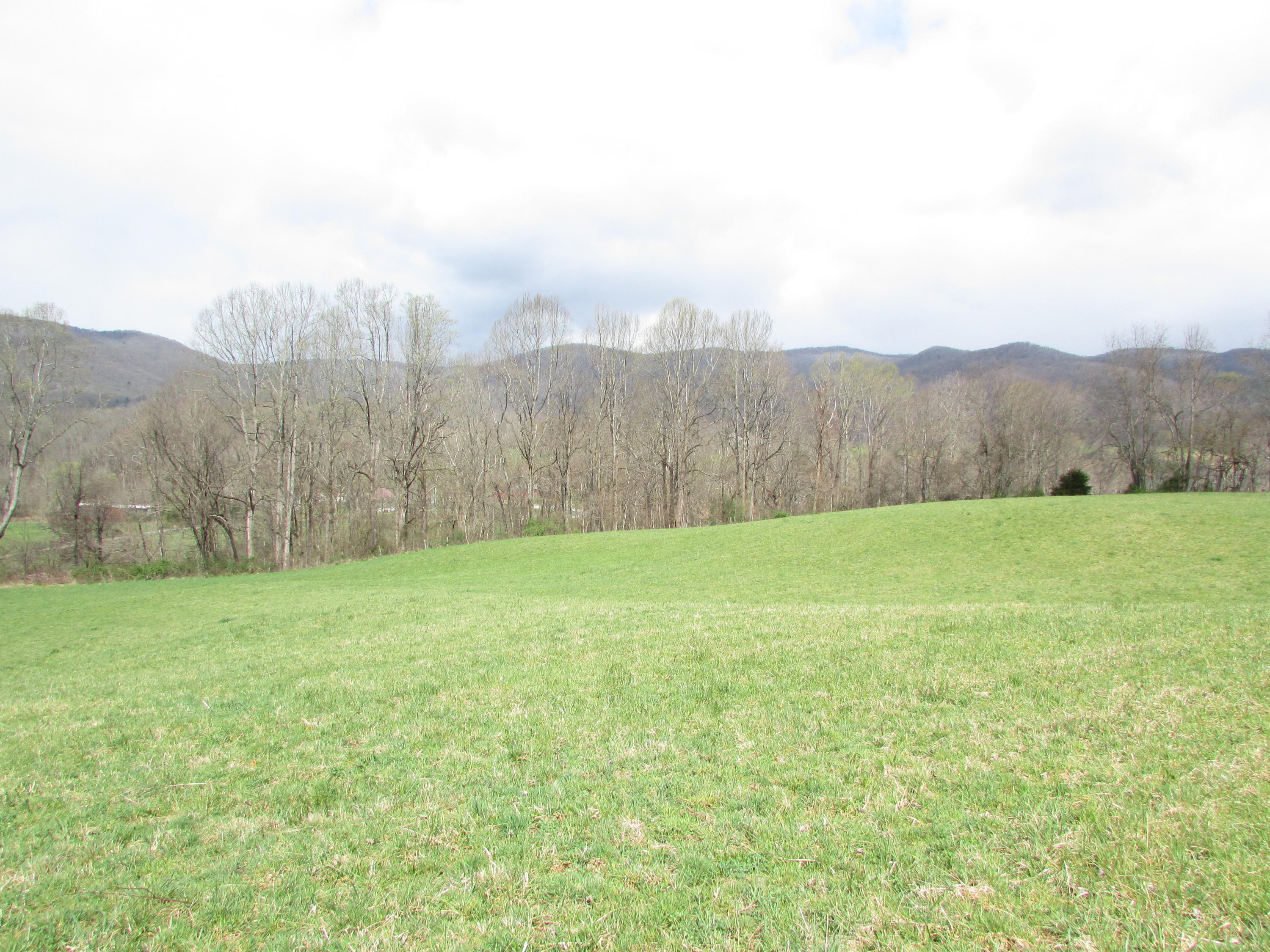 Tbd Taylor Hollow Road Elizabethton, TN 37643 - Photo 37 of 42 taylor hollow road elizabethton tn 37643