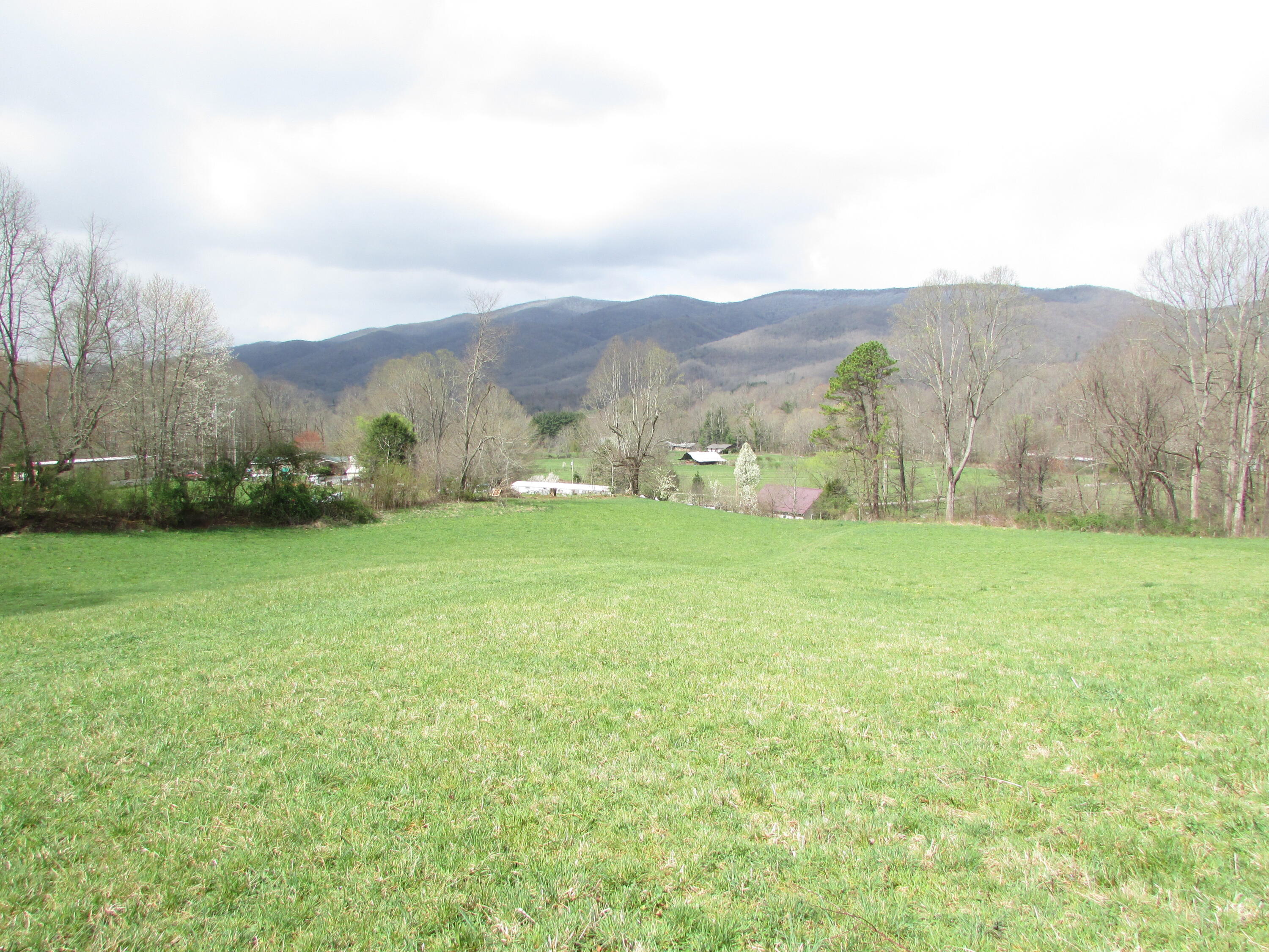 Tbd Taylor Hollow Road Elizabethton, TN 37643 - Photo 38 of 42 taylor hollow road elizabethton tn 37643