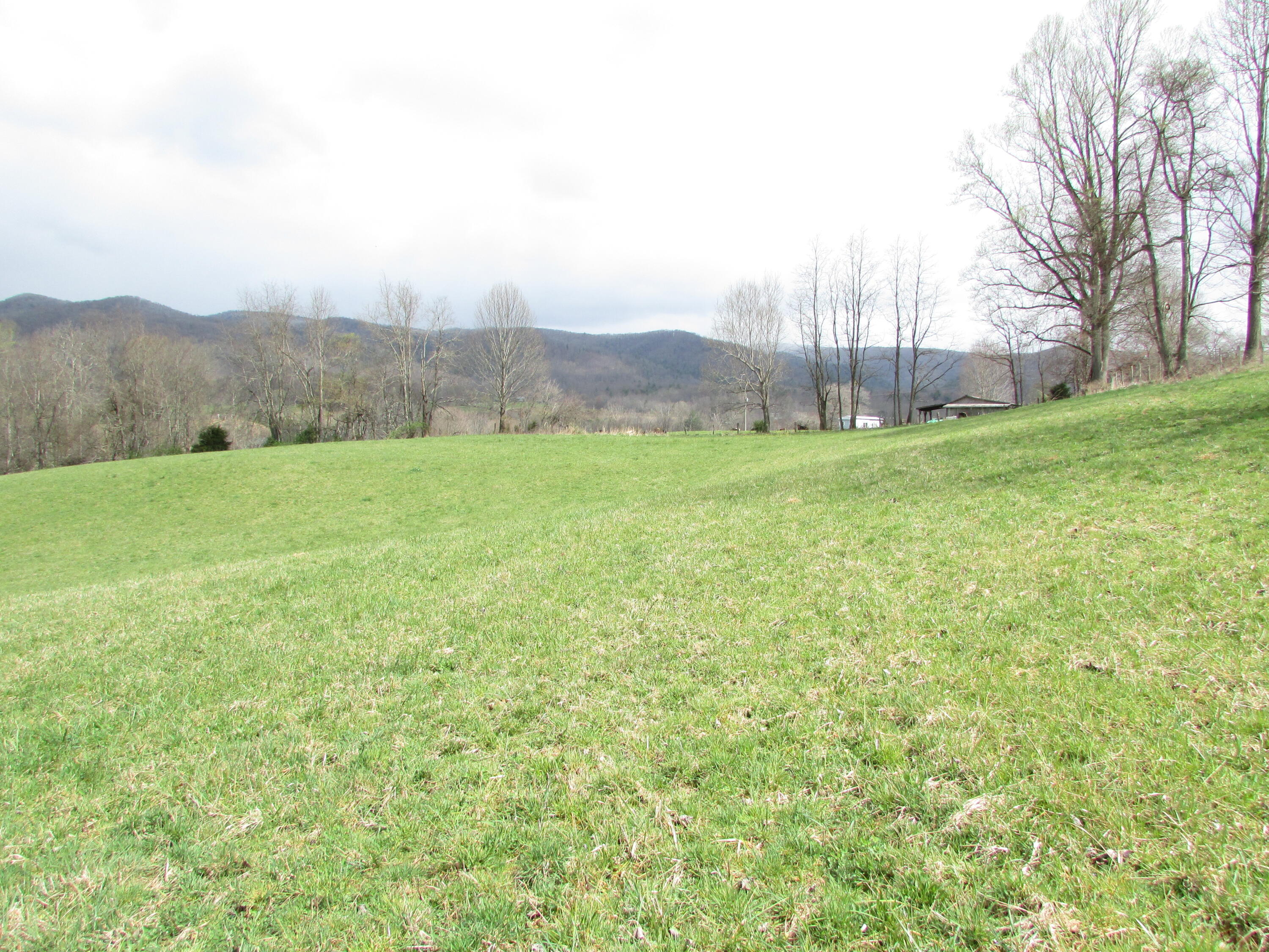 Tbd Taylor Hollow Road Elizabethton, TN 37643 - Photo 40 of 42 taylor hollow road elizabethton tn 37643