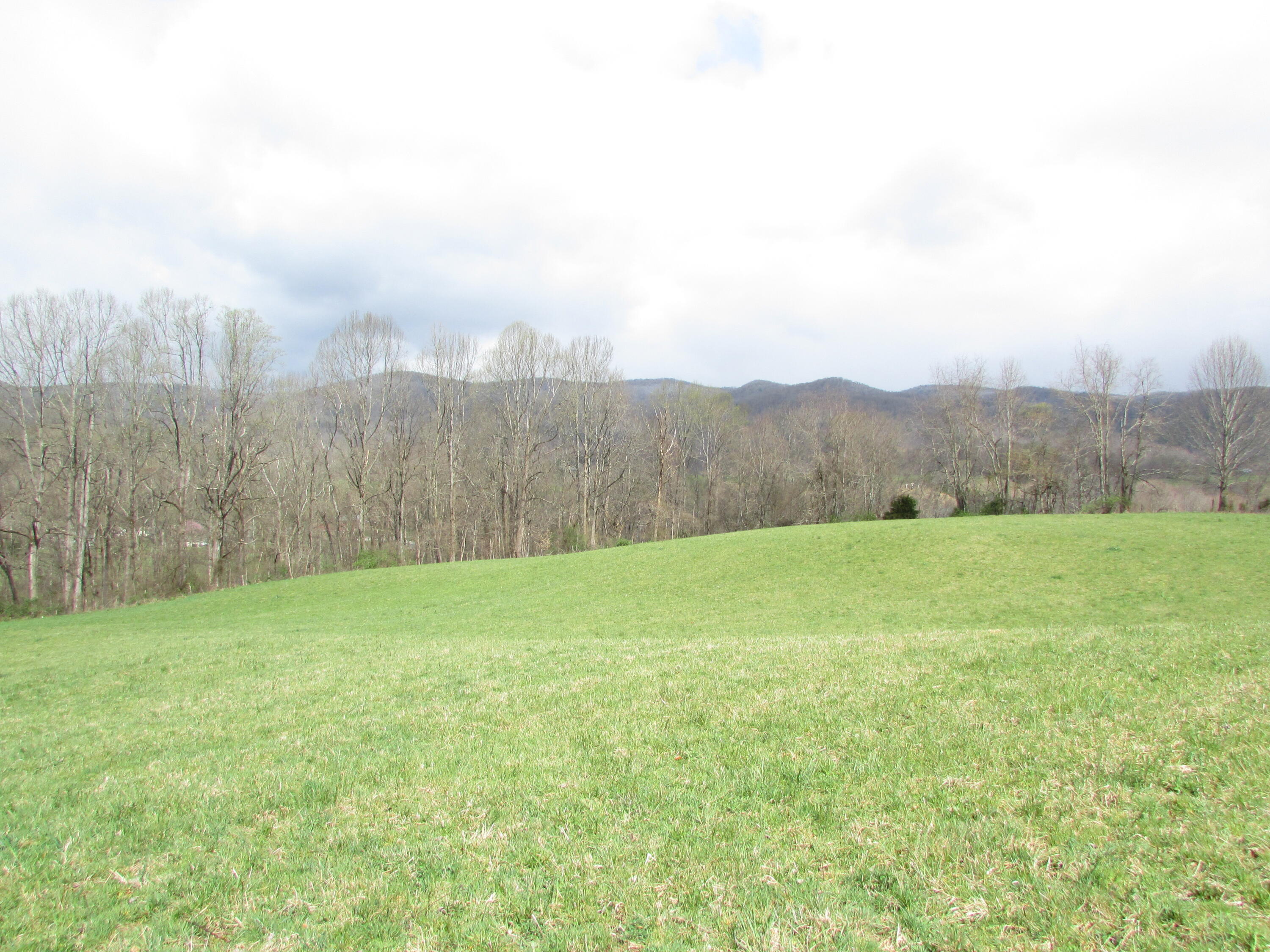 Tbd Taylor Hollow Road Elizabethton, TN 37643 - Photo 41 of 42 taylor hollow road elizabethton tn 37643