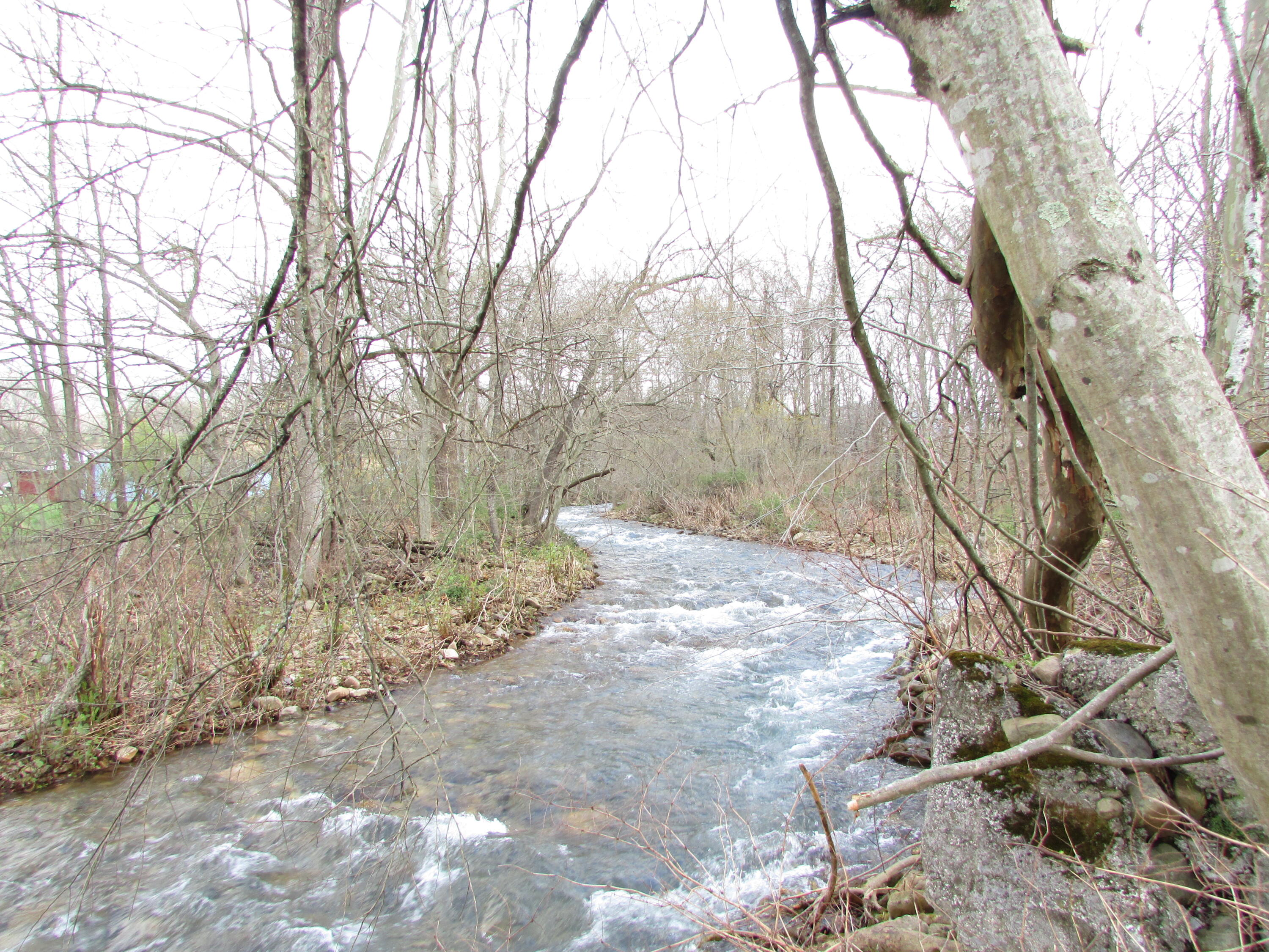 Tbd Taylor Hollow Road Elizabethton, TN 37643 - Photo 42 of 42 taylor hollow road elizabethton tn 37643