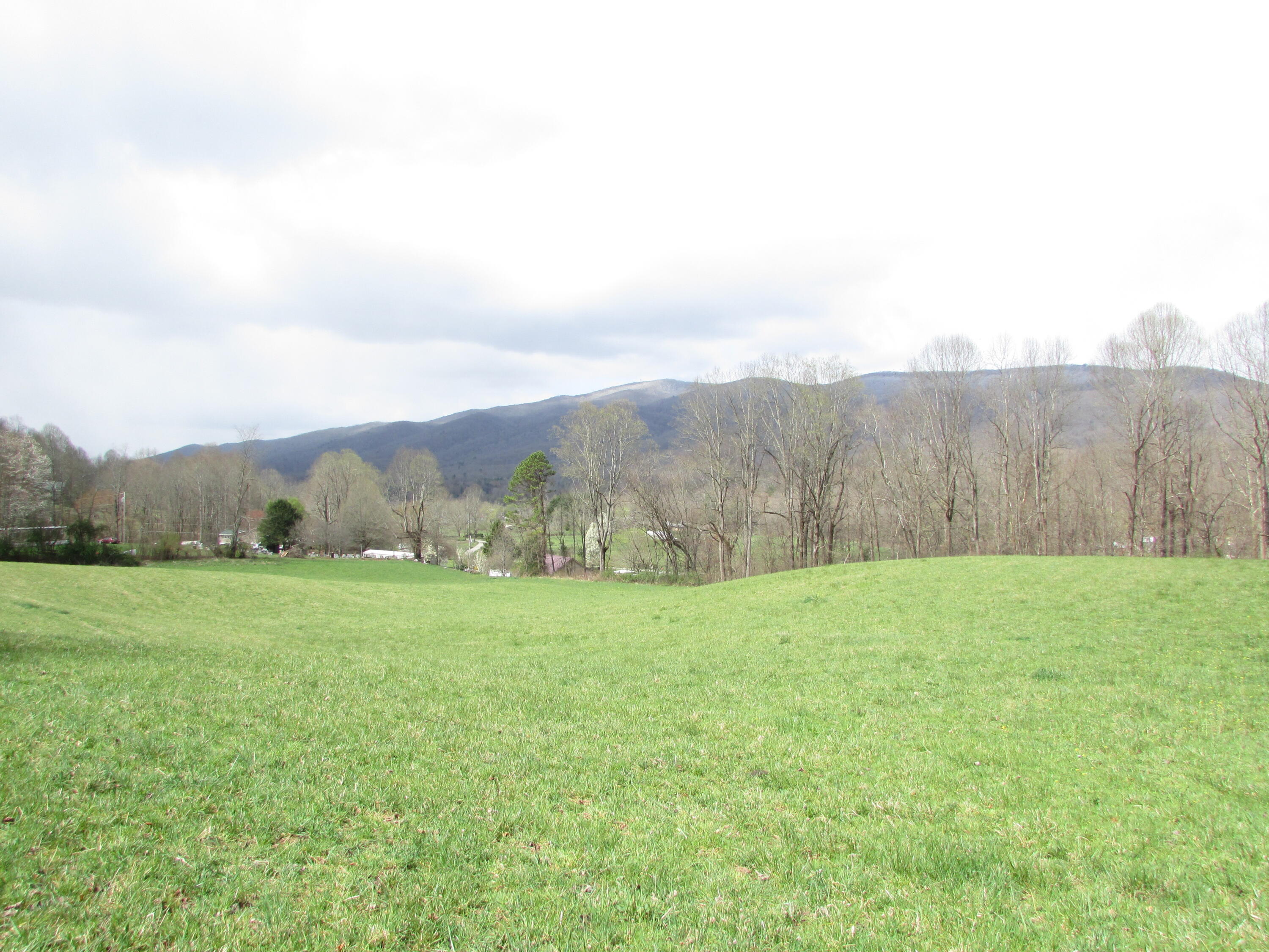 Tbd Taylor Hollow Road Elizabethton, TN 37643 - Photo 5 of 42 taylor hollow road elizabethton tn 37643