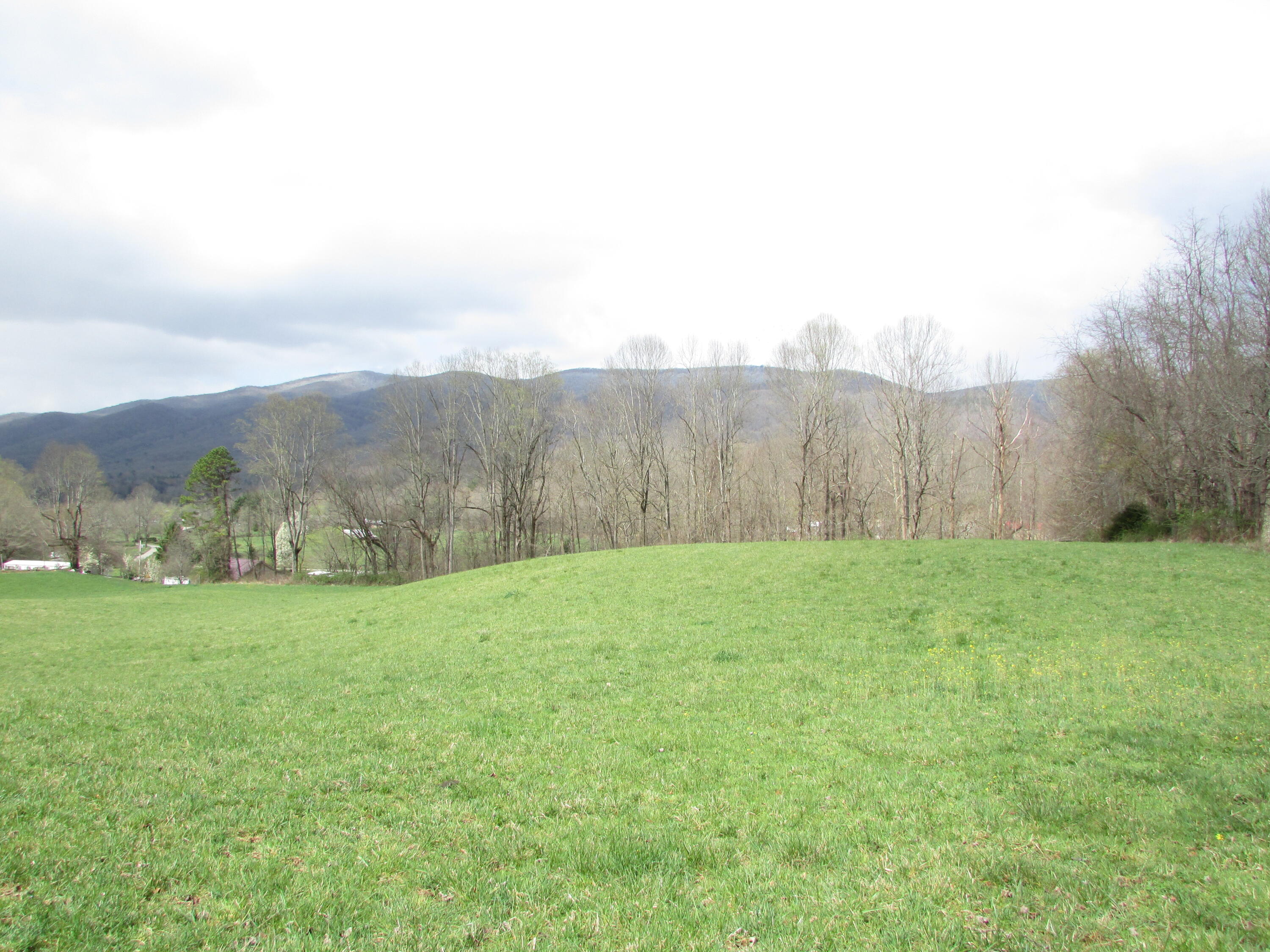 Tbd Taylor Hollow Road Elizabethton, TN 37643 - Photo 7 of 42 taylor hollow road elizabethton tn 37643