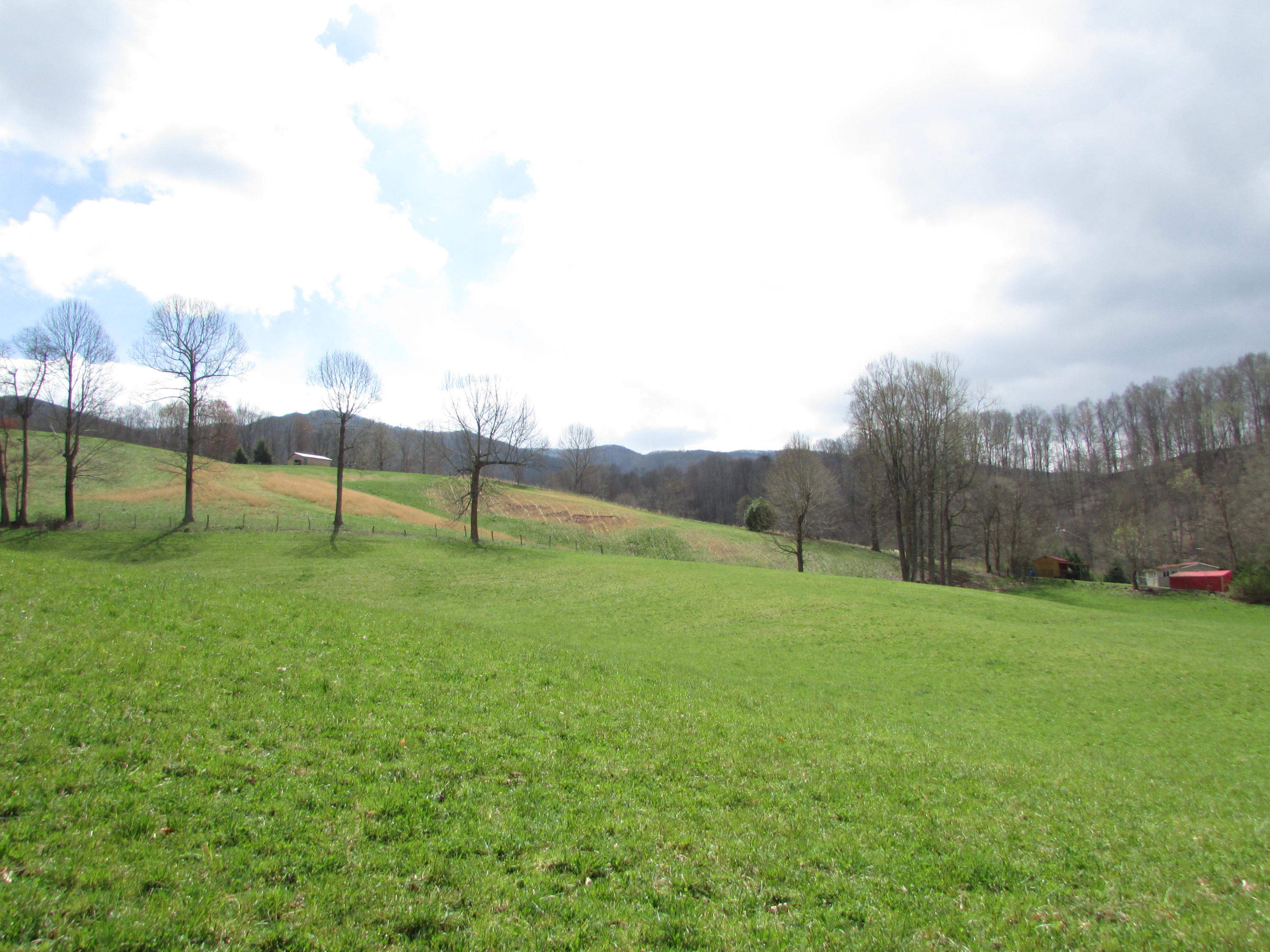 Tbd Taylor Hollow Road Elizabethton, TN 37643 - Photo 8 of 42 taylor hollow road elizabethton tn 37643