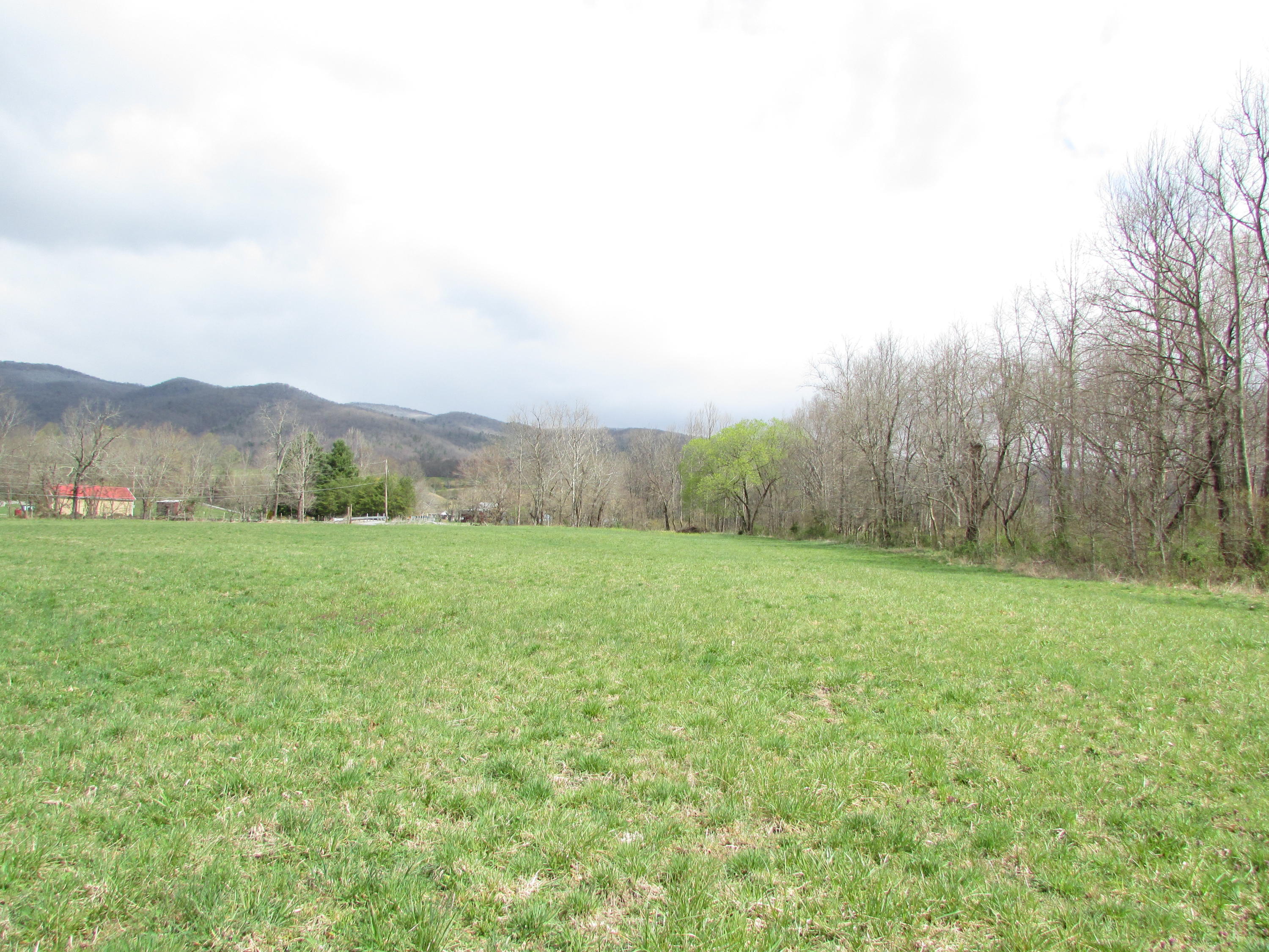Tbd Taylor Hollow Road Elizabethton, TN 37643 - Photo 9 of 42 taylor hollow road elizabethton tn 37643