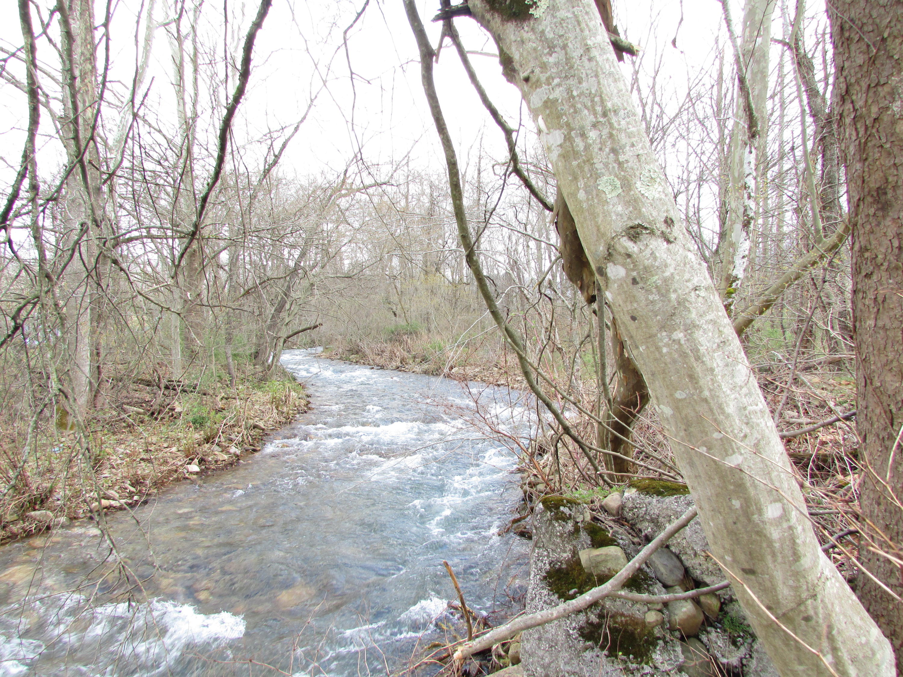 Tbd Taylor Hollow Road Elizabethton, TN 37643 - Photo 10 of 42 taylor hollow road elizabethton tn 37643