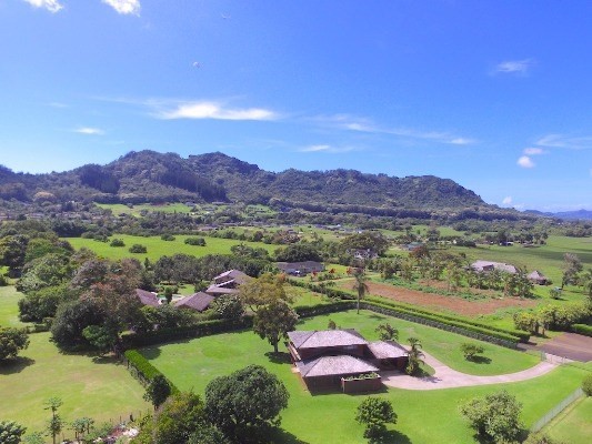 6156 Holio Road Kapaa, HI 96746 - Photo 2 of 25 a view of a lush green hillside and houses