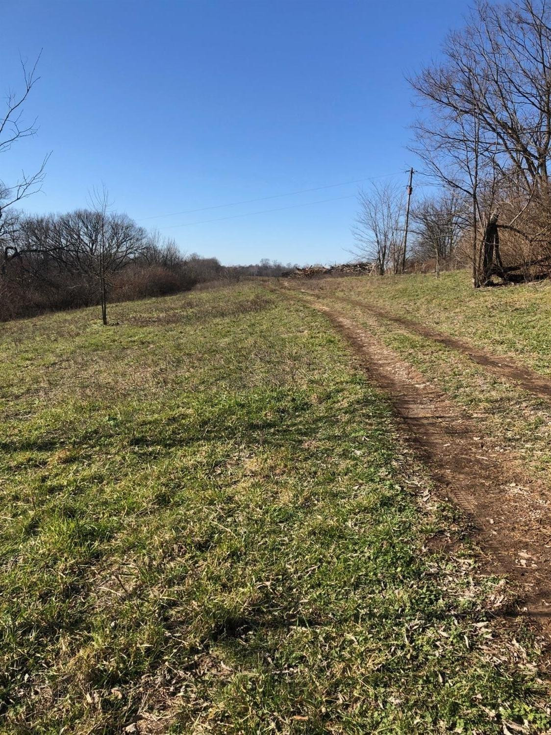 1 Peacock Road Paris, KY 40361 - Photo 7 of 12 Photo 7