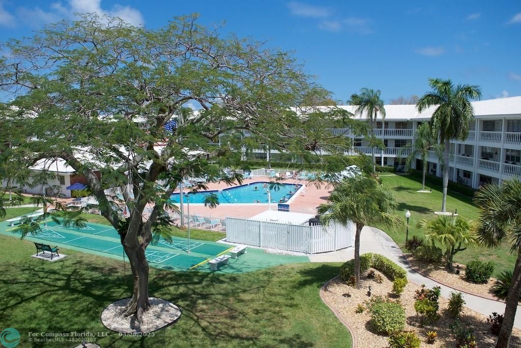 5200 Northeast 24th Terrace, Unit C306 Fort Lauderdale, FL 33308 - Photo 1 of 25 a backyard of a house with lots of green space and fountain