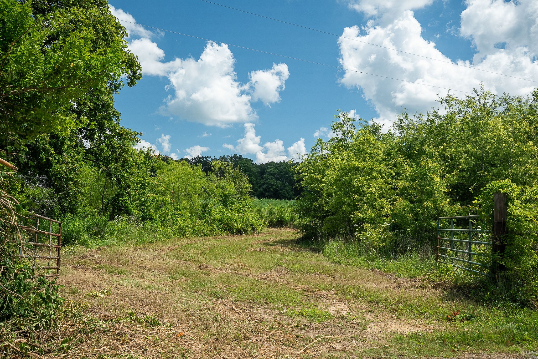 0 Sneed Road McMinnville, TN 37110 - Photo 5 of 16