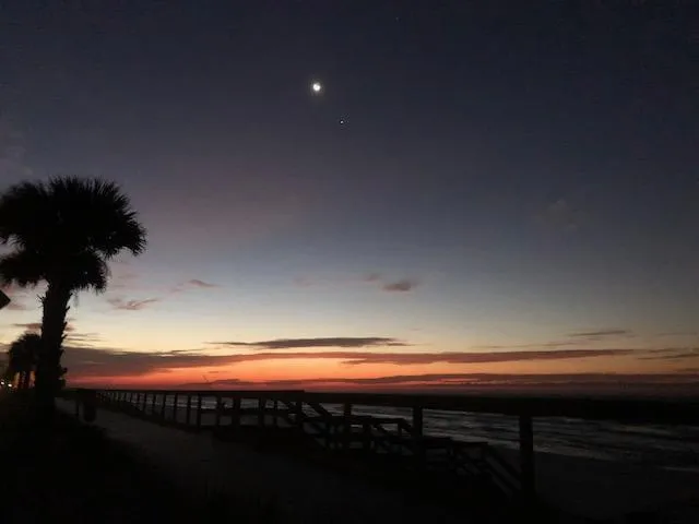 a view of a house with brick walls and a yard with plants
