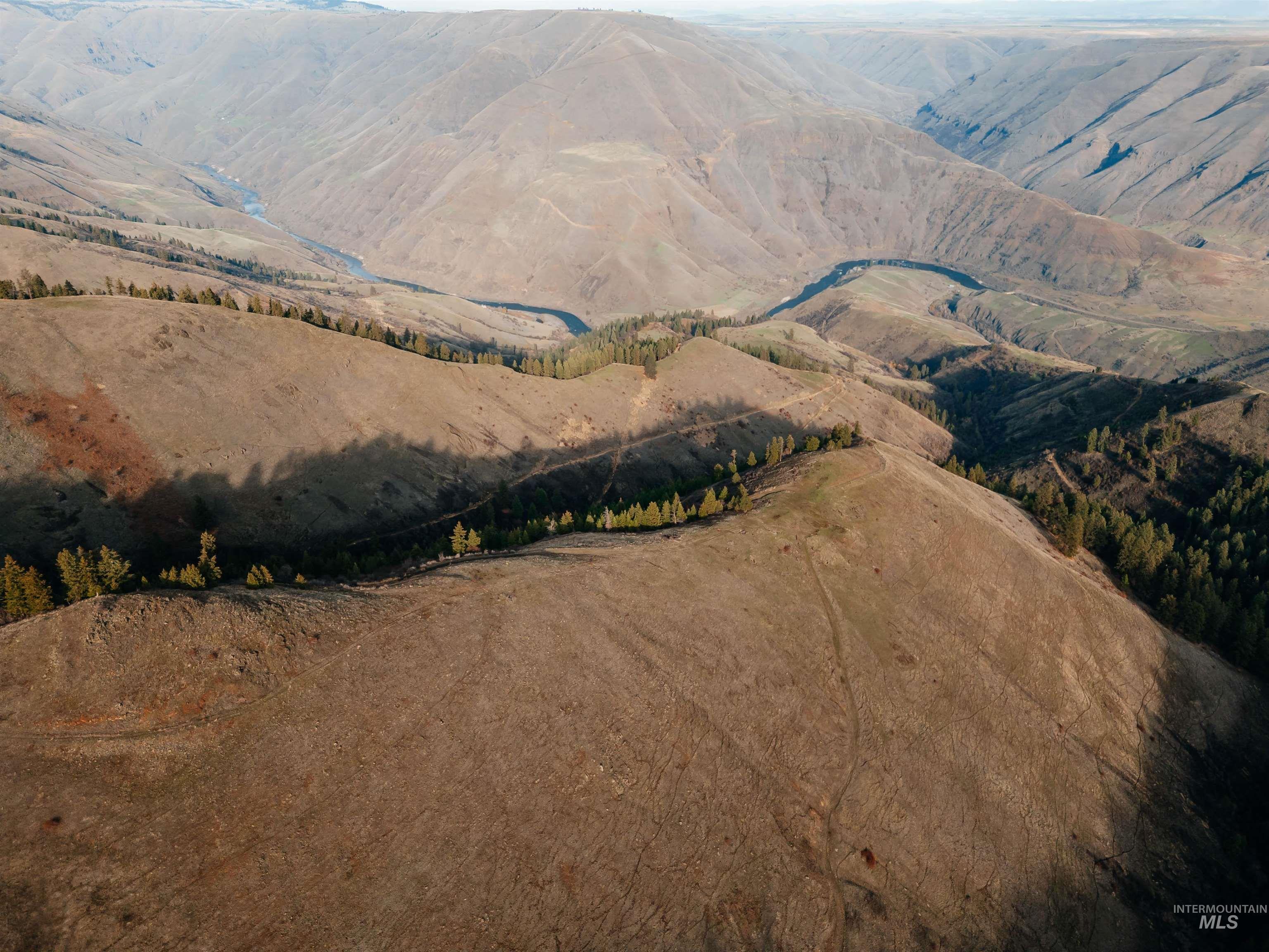 Tbd Boles Road Cottonwood, ID 83522 - Photo 17 of 49 Aerial view of property and surrounding area with a forest