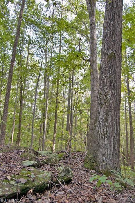 9263 Leak Branch Road Rural Hall, NC 27045 - Photo 10 of 11 Gallery Image 10