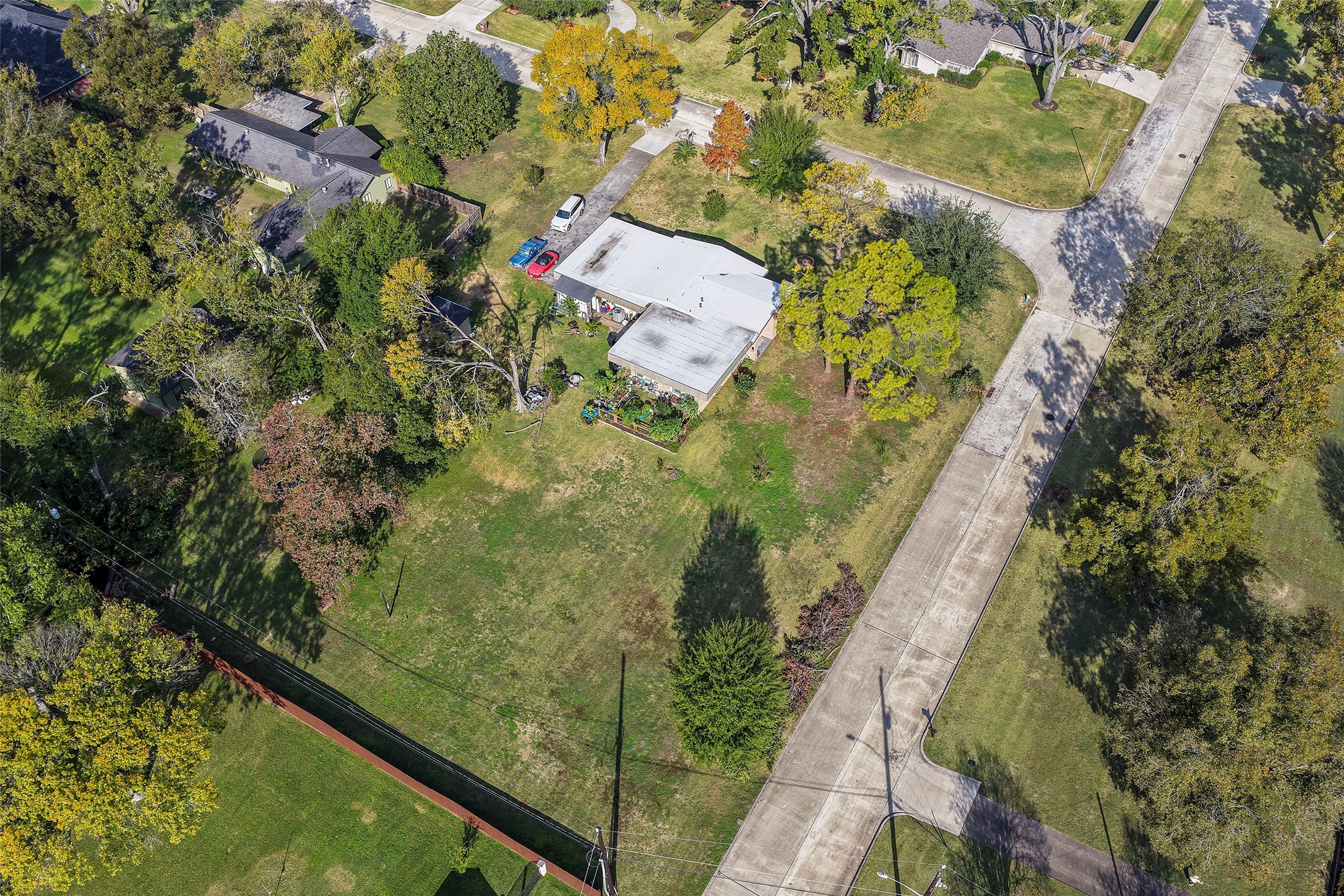 9217 Sequoia Drive Houston, TX 77041 - Photo 8 of 8 a view of a yard with plants
