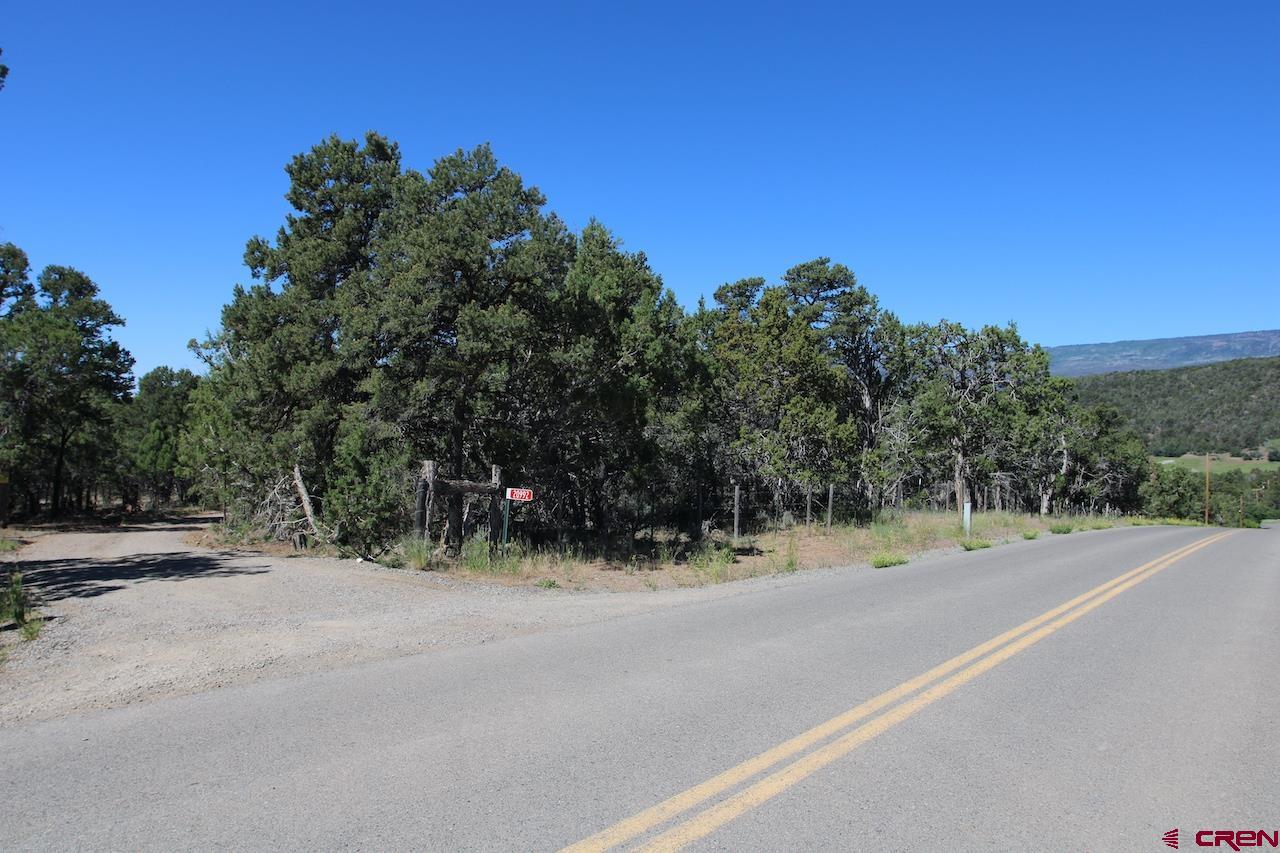 20992 Uintah Road Cedaredge, CO 81413 - Photo 6 of 30 a view of a road with a trees