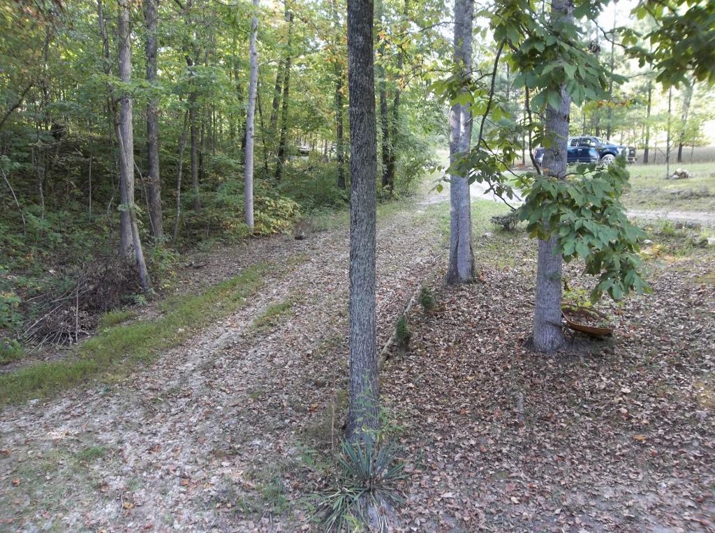 816 Ridge Road West, Unit 111/112/113 Crossville, TN 38572 - Photo 17 of 26 100_3430 (1024x764)