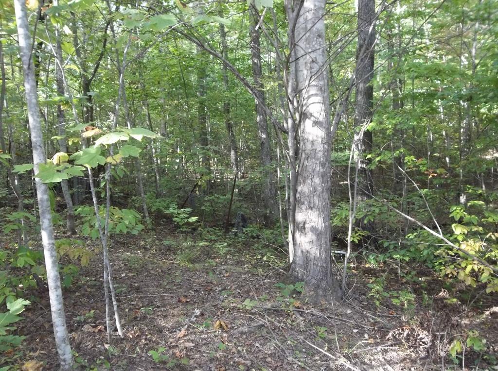 816 Ridge Road West, Unit 111/112/113 Crossville, TN 38572 - Photo 21 of 26 100_3438 (1024x764)