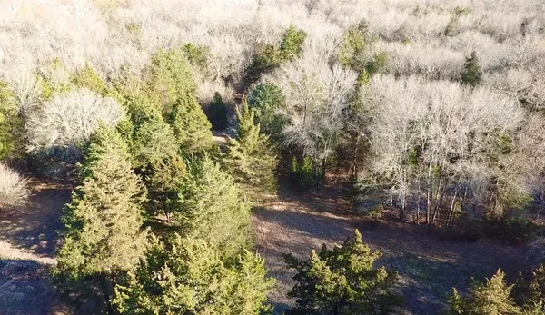 $594,000 | 3842 Fm 2029, Telephone, TX 75488
