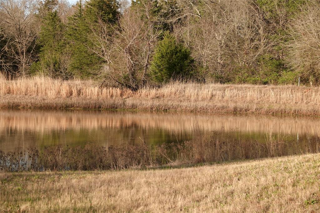 3842 Fm 2029 Telephone, TX 75488 - Photo 5 of 13 a view of lake