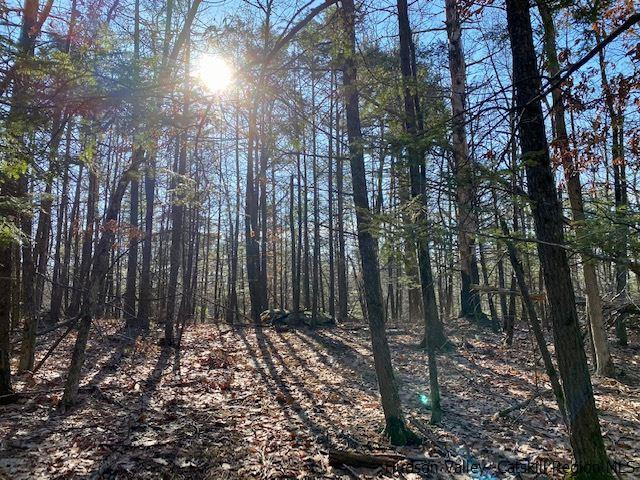 0 California Quarry Road, Unit CALIFORNIA QUARRY Woodstock, NY 12498 - Photo 1 of 15 Photo 1