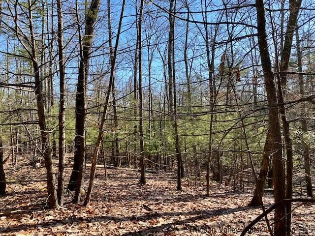 0 California Quarry Road, Unit CALIFORNIA QUARRY Woodstock, NY 12498 - Photo 11 of 15 Photo 11