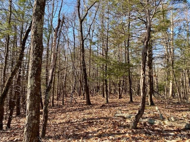 0 California Quarry Road, Unit CALIFORNIA QUARRY Woodstock, NY 12498 - Photo 12 of 15 Photo 12