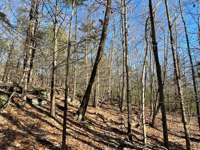 0 California Quarry Road, Unit CALIFORNIA QUARRY Woodstock, NY 12498 - Photo 13 of 15 Photo 14