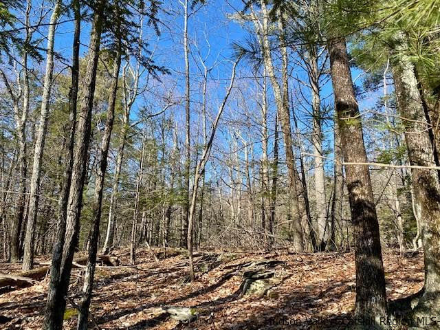 0 California Quarry Road, Unit CALIFORNIA QUARRY Woodstock, NY 12498 - Photo 14 of 15 Photo 17