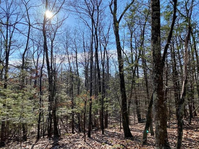 0 California Quarry Road, Unit CALIFORNIA QUARRY Woodstock, NY 12498 - Photo 2 of 15 Photo 2