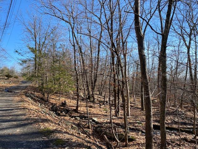 0 California Quarry Road, Unit CALIFORNIA QUARRY Woodstock, NY 12498 - Photo 3 of 15 Photo 3