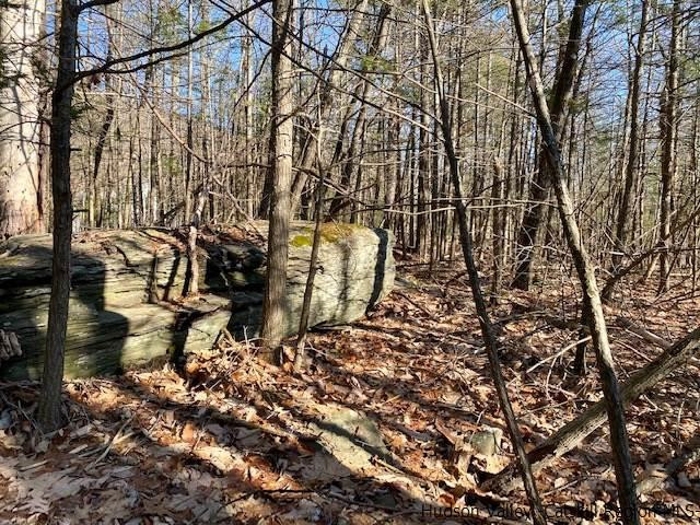 0 California Quarry Road, Unit CALIFORNIA QUARRY Woodstock, NY 12498 - Photo 4 of 15 Photo 4