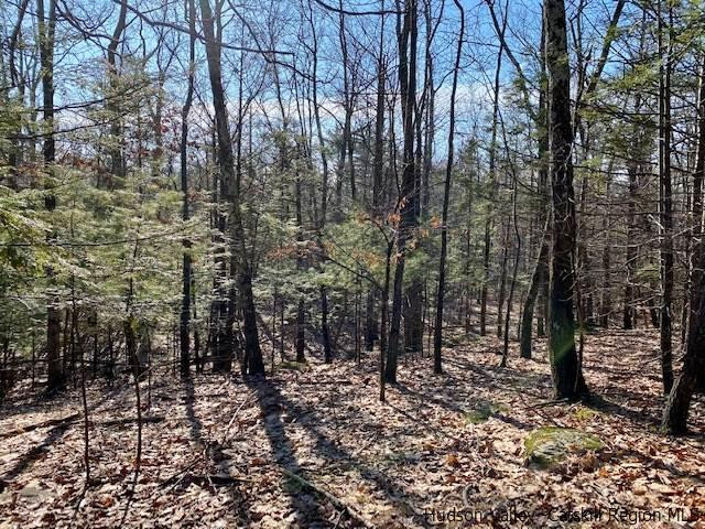 0 California Quarry Road, Unit CALIFORNIA QUARRY Woodstock, NY 12498 - Photo 5 of 15 Photo 5