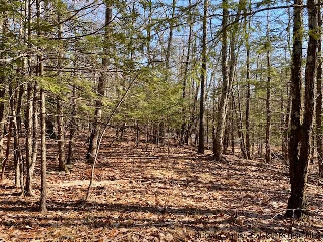 0 California Quarry Road, Unit CALIFORNIA QUARRY Woodstock, NY 12498 - Photo 6 of 15 Photo 6