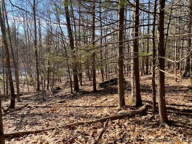 0 California Quarry Road, Unit CALIFORNIA QUARRY Woodstock, NY 12498 - Photo 7 of 15 Photo 7