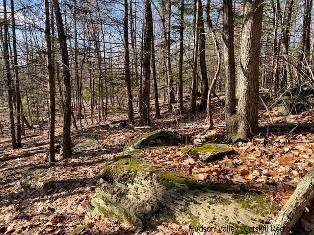 0 California Quarry Road, Unit CALIFORNIA QUARRY Woodstock, NY 12498 - Photo 8 of 15 Photo 8