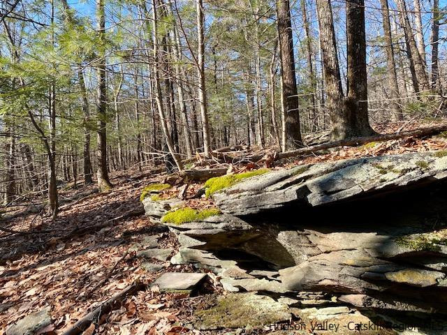 0 California Quarry Road, Unit CALIFORNIA QUARRY Woodstock, NY 12498 - Photo 9 of 15 Photo 9