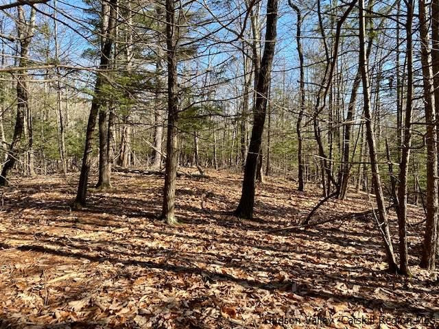 0 California Quarry Road, Unit CALIFORNIA QUARRY Woodstock, NY 12498 - Photo 10 of 15 Photo 10