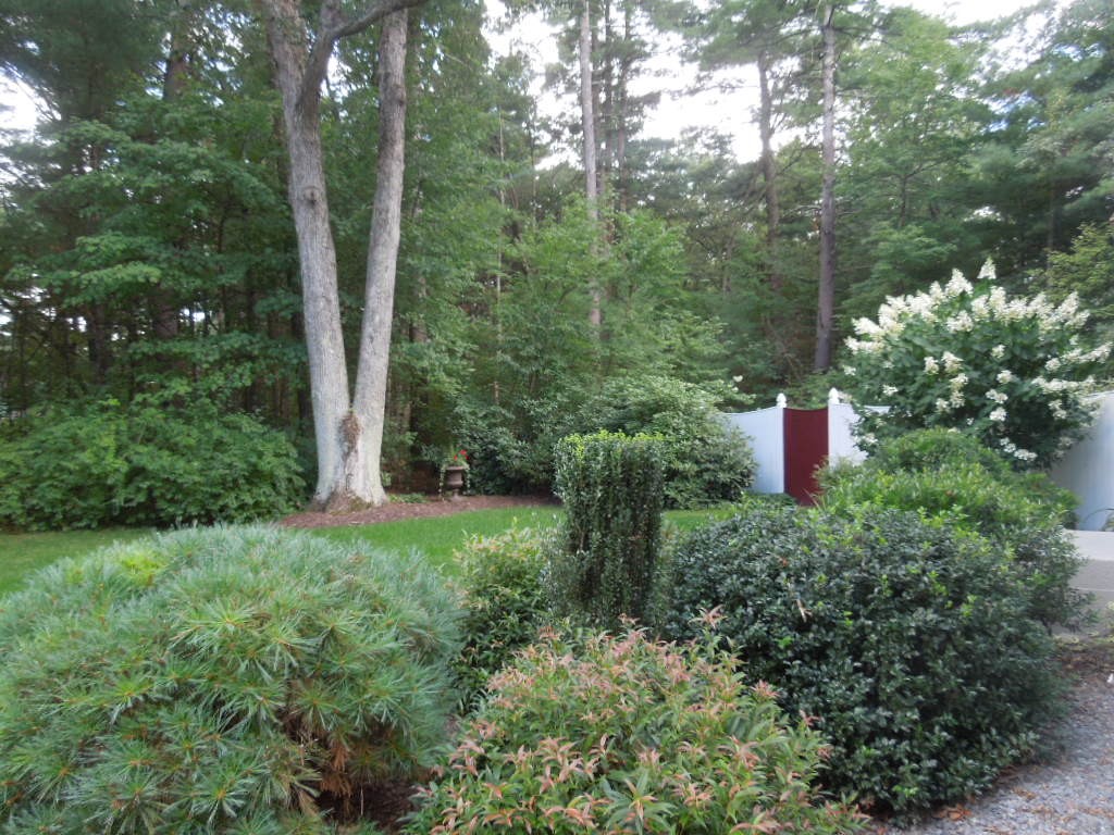 19 Old Homestead Road Westford, MA 01886 - Photo 4 of 28 Gallery Image 4