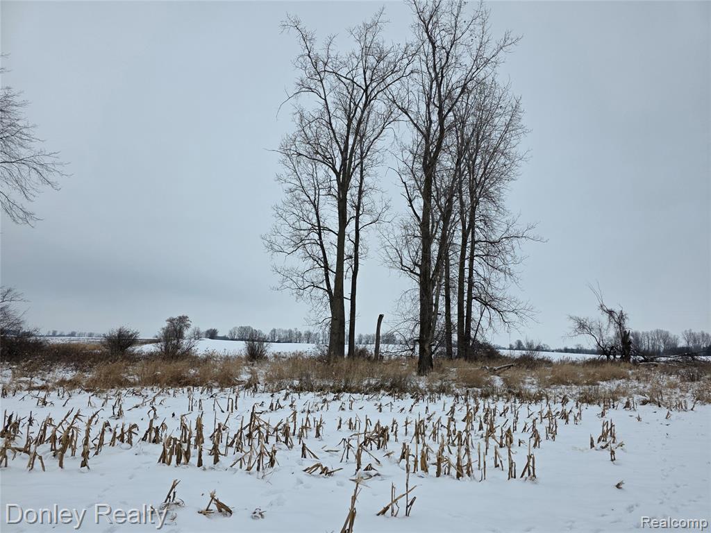 9999 Montgomery Road Marlette, MI 48453 - Photo 4 of 10 Gallery Image 4