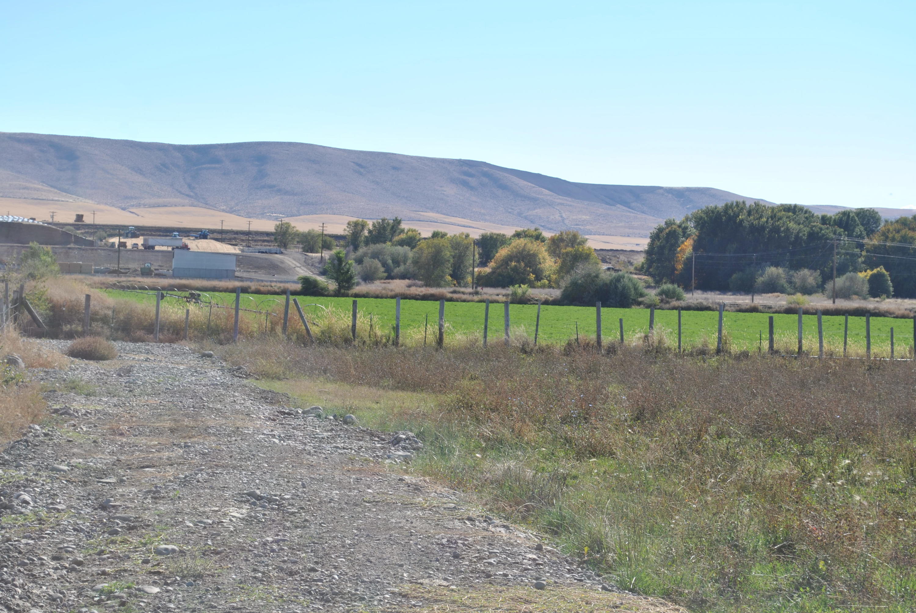 Sr-22 Bus Road Mabton, WA 98935 - Photo 9 of 15 a view of a big yard with a large tree