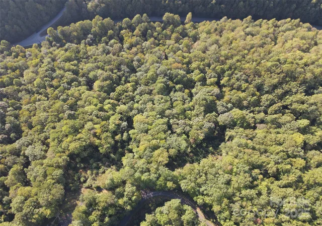a view of a forest from a window