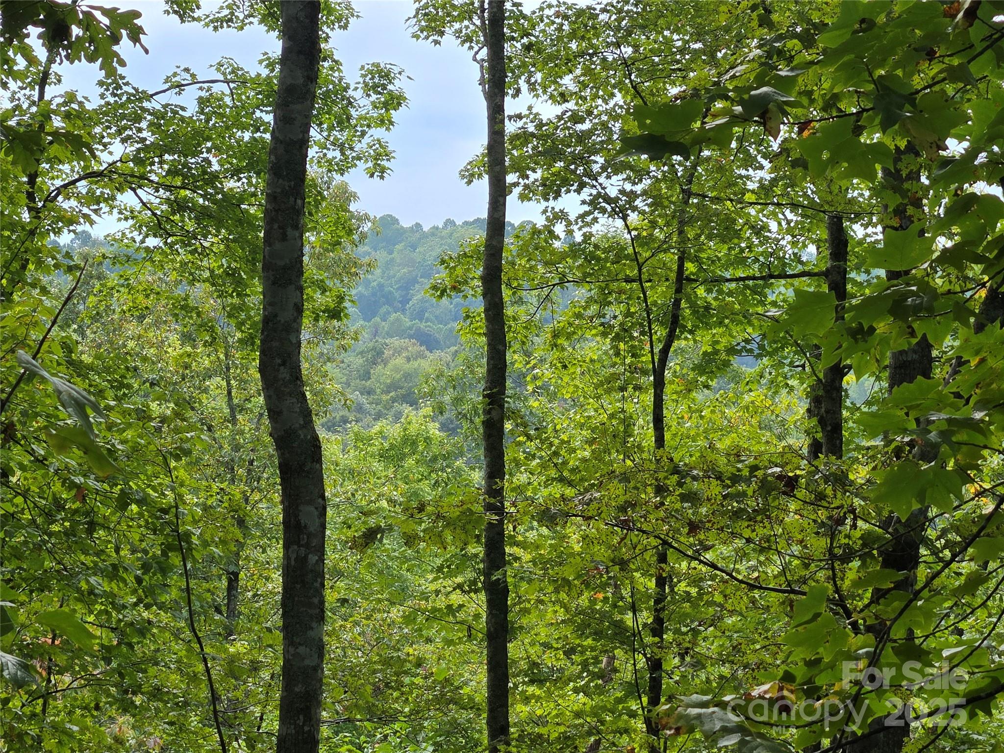 303 Ladd Ridge Road Rosman, NC 28772 - Photo 12 of 32 a view of outdoor space and swimming pool