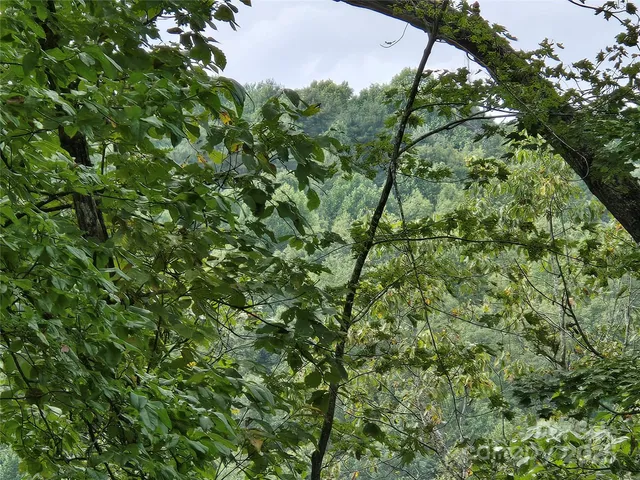 a view of a green field with lots of bushes