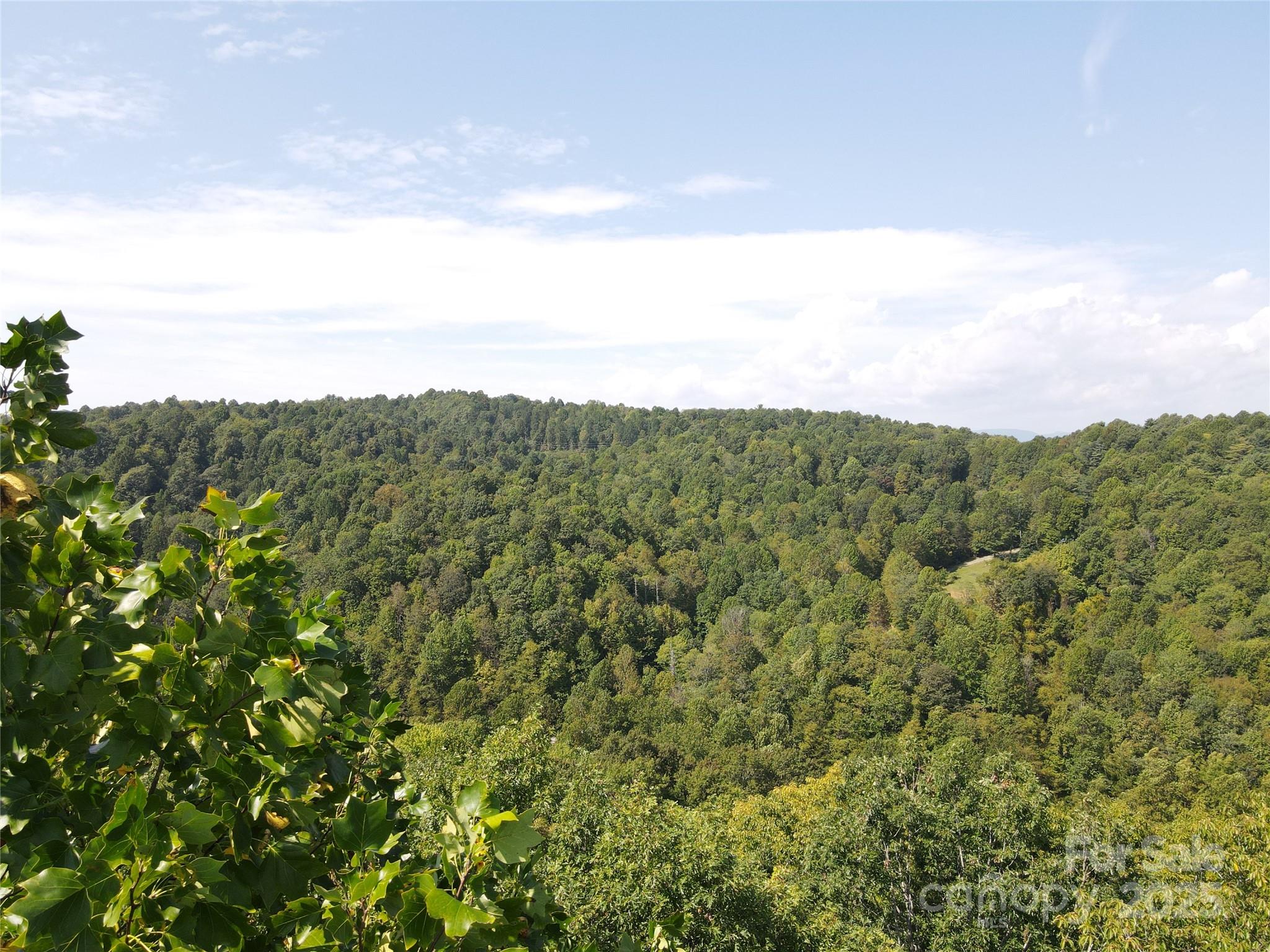 303 Ladd Ridge Road Rosman, NC 28772 - Photo 15 of 32 a view of a bunch of trees in a field