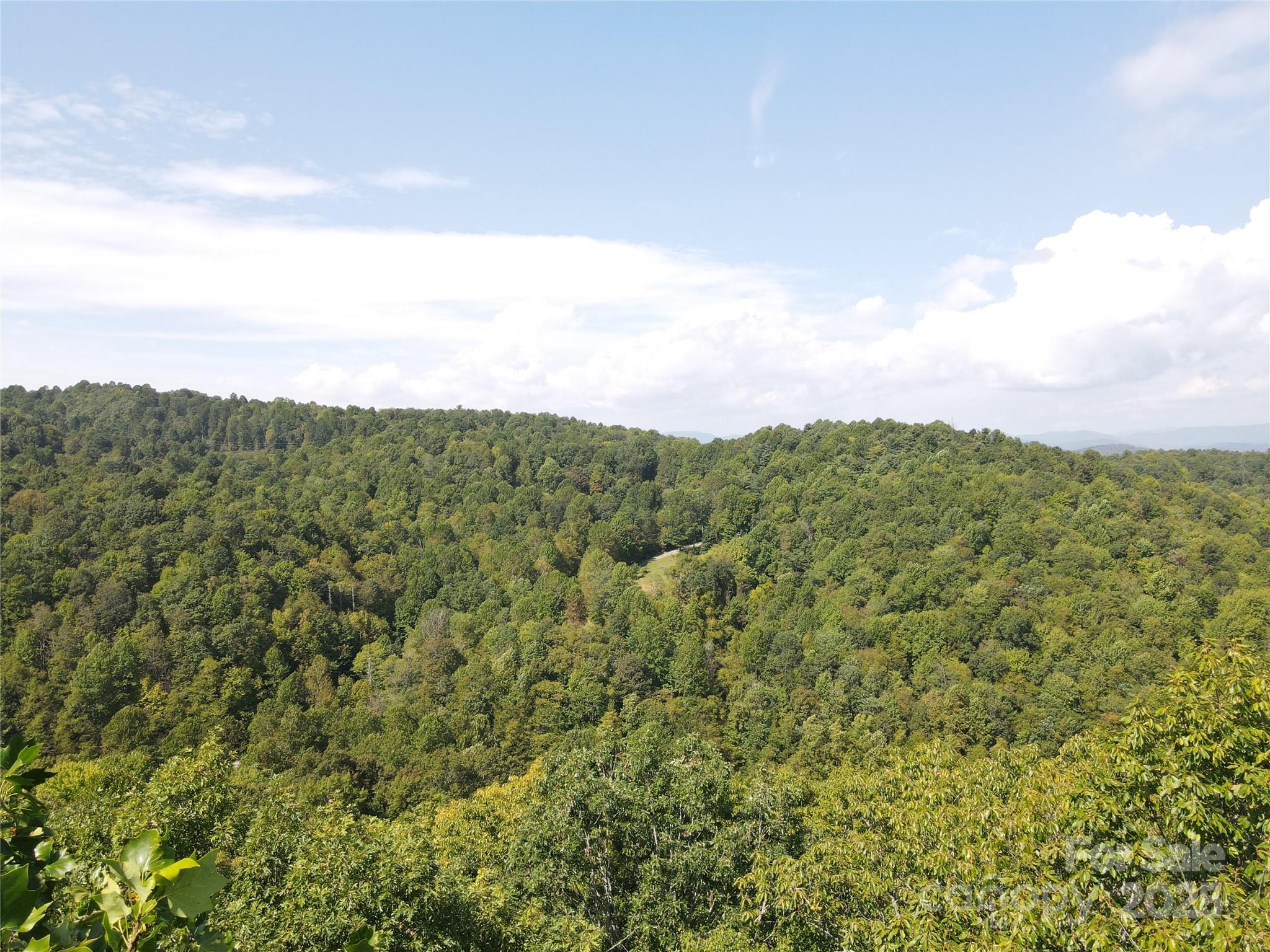 303 Ladd Ridge Road Rosman, NC 28772 - Photo 16 of 32 a view of a green field with lots of bushes