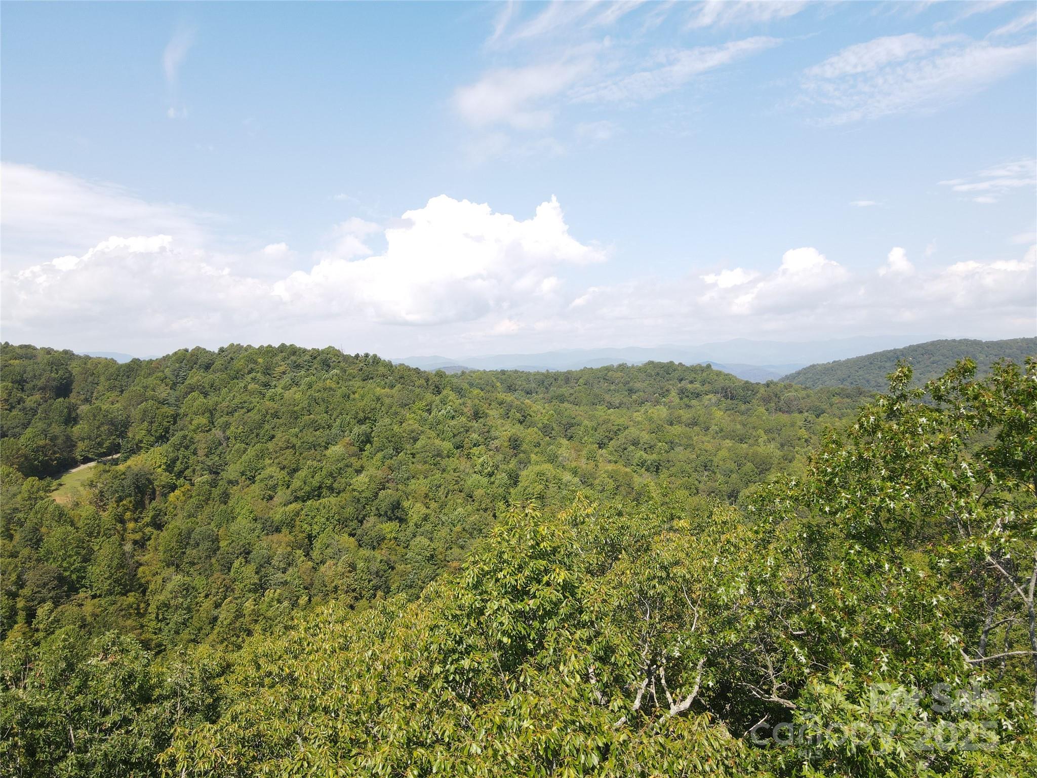 303 Ladd Ridge Road Rosman, NC 28772 - Photo 17 of 32 a view of a city with lush green forest