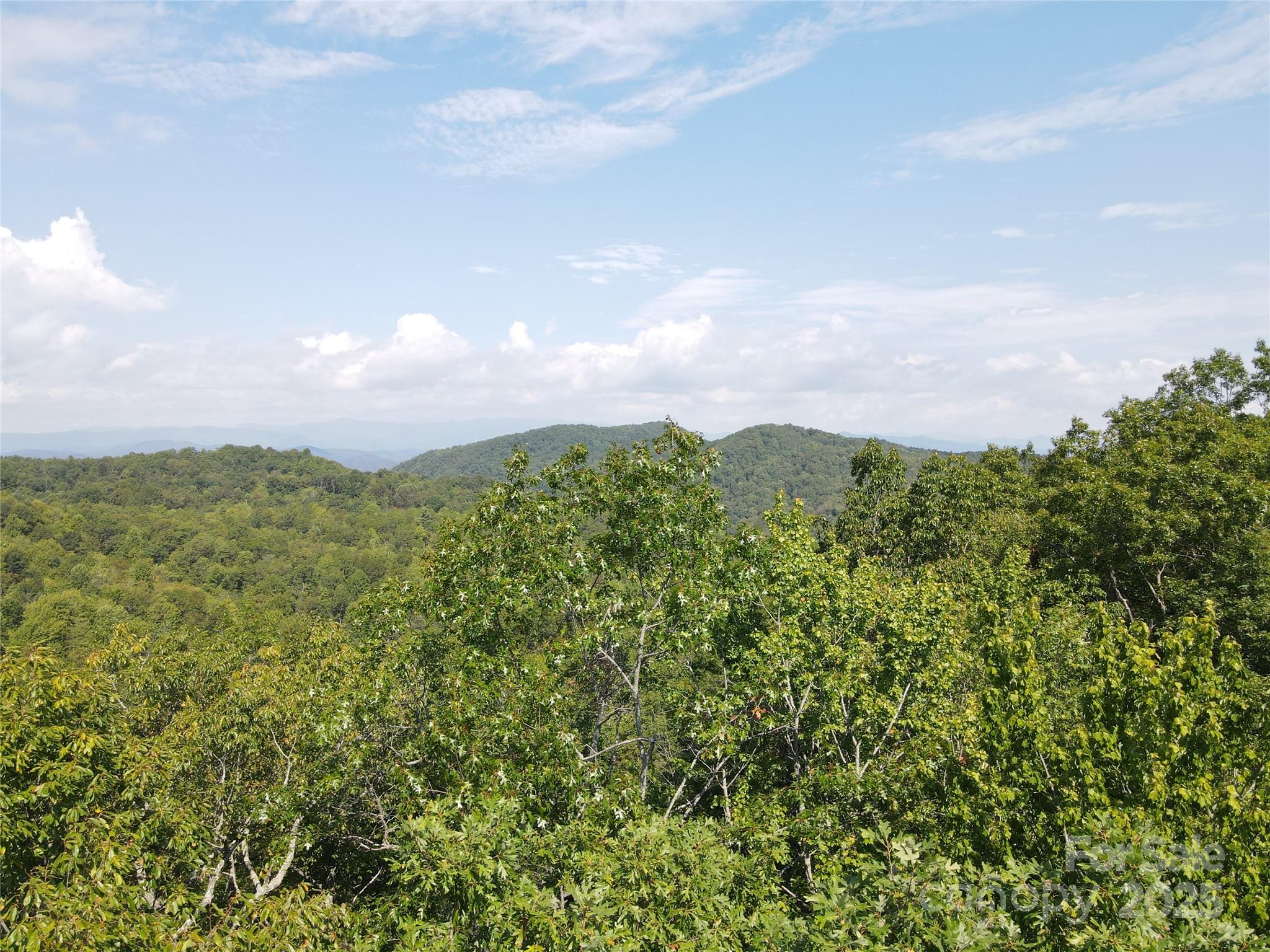 303 Ladd Ridge Road Rosman, NC 28772 - Photo 18 of 32 a view of a bunch of trees and bushes