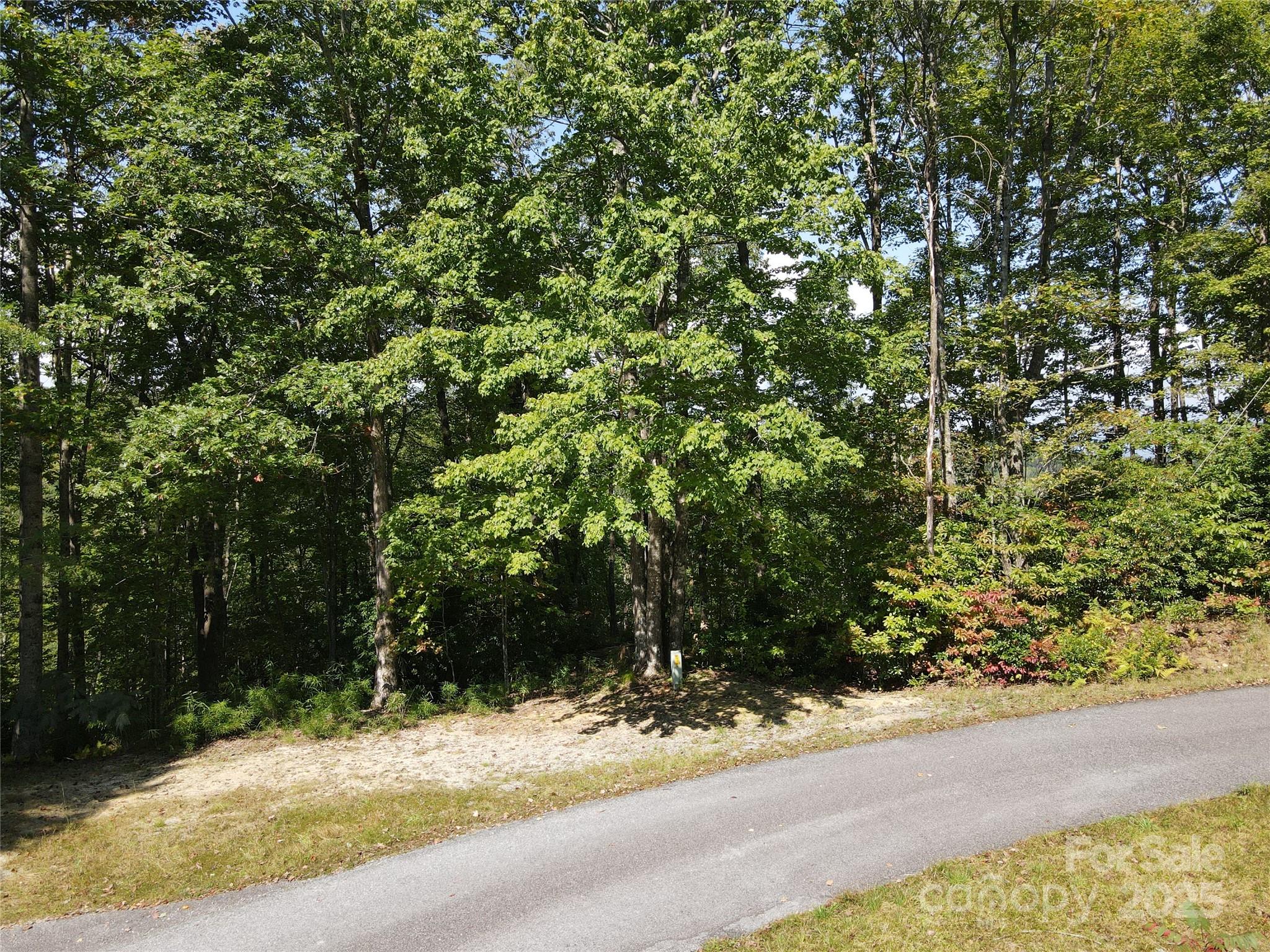 303 Ladd Ridge Road Rosman, NC 28772 - Photo 2 of 32 a view of a yard with plants and trees