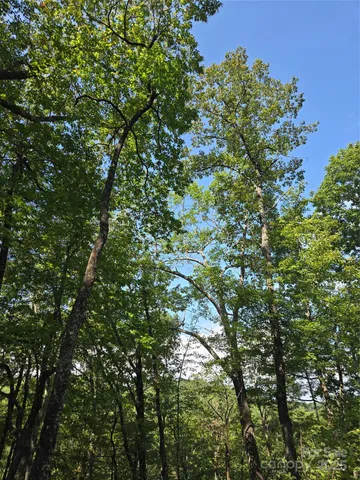 a view of a backyard with chairs