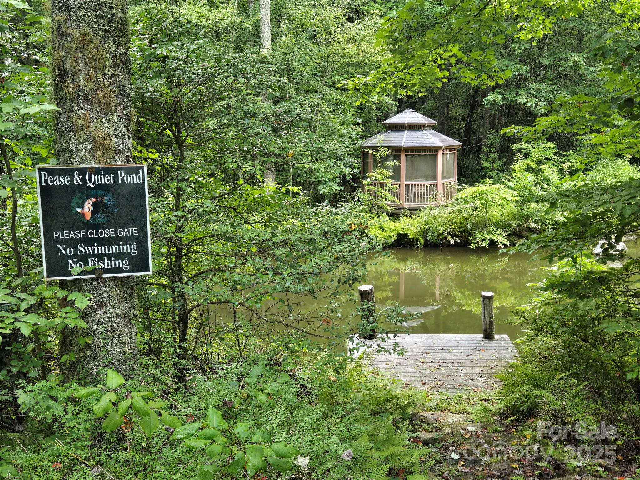 303 Ladd Ridge Road Rosman, NC 28772 - Photo 28 of 32 a view of a house with a yard